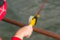 A child`s hand is fishing on a small fishing rod. Ozernaya fishing.