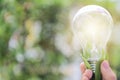 Child`s hand hold light bulb,Energy for a sustainable future. Royalty Free Stock Photo