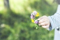 Child`s hand holding a bouquet of flowers. Royalty Free Stock Photo