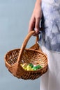 Child`s hand holding easter egg basket Royalty Free Stock Photo