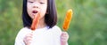 Child`s hand is holding sausage skewer wood to eat with gusto. Empty space for entering text. Nature green background