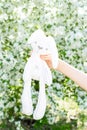 A child`s hand holds a soft toy rabbit. A child on a walk in the park with his favorite soft toy. Bloomin apple tree background. Royalty Free Stock Photo