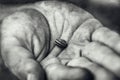 A child`s hand with a lovely delicate sleeping snail