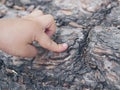 Child`s hand pointing at a tree trunk in the forest