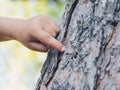 Child`s hand pointing at a tree trunk in the park.Child in contact with nature. Freedom concept