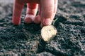 The child's hand raises the Ukrainian one hryvnia coin lying in the black soil