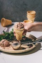 Chocolate ice cream Royalty Free Stock Photo