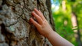 A child\'s hand touching the texture of a cut tree trunk in nature. Sustainability concept Royalty Free Stock Photo