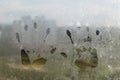 A child`s handprint on the fogged glass Royalty Free Stock Photo