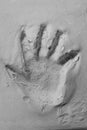 Child's handprint in sandy smooth white plaster