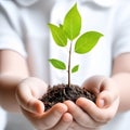 The child\'s hands carefully hold a tree seedling. The concept of an eco-friendly future for our environment