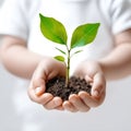 The child\'s hands carefully hold a tree seedling. The concept of an eco-friendly future for our environment