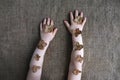 Child`s hands with dried hydrangea flowers on burlap background. Feeling nature, sustainable living, natural care, organic Royalty Free Stock Photo