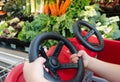 Child's hands driving shopping cart