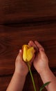 Child's hands hold yellow tulip flower flat lay. Love, people care kids donations charity, grace support welfare concept