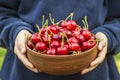 Child`s hands are holding plate with ripe cherries. Fresh organic cherries. Harvest concept Royalty Free Stock Photo