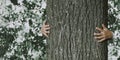 Child`s hands hugging tree Royalty Free Stock Photo