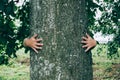 Child`s hands hugging tree Royalty Free Stock Photo