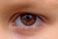 Child\'s human Eye. Macro brown eye Royalty Free Stock Photo