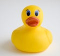 Child's rubber duck toy Royalty Free Stock Photo