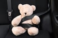 Child`s toy bear buckled with safety belt on car backseat
