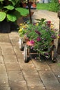 Child's wagon, filled with seasonal flowers