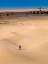 child in the Sahara desert plays with the sand of the dunes, tourist on vacation