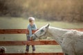 A child a school age boy on a ranch sits on a wooden fence and feeds a pony Royalty Free Stock Photo