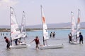 Child school sailing in sardinia Royalty Free Stock Photo