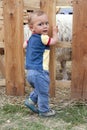 Child at sheep farm or pet zoo Royalty Free Stock Photo