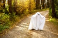 A child in sheets with slits like a ghost costume in an autumn forest scares and terrifies. A kind little ghost. Halloween Party