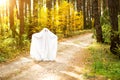 A child in sheets with slits like a ghost costume in an autumn forest scares and terrifies. A kind little ghost. Halloween Party