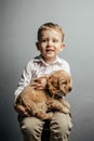 Child in shirt with funny little white dog in hands. Cute friends lovingly embraced. pet dog Puppy English Cocker Spaniel with boy Royalty Free Stock Photo