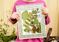 Child showing handmade dried pressed real flowers plants in picture frame. Royalty Free Stock Photo