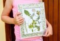 Child showing handmade dried pressed real flowers plants in picture frame. Royalty Free Stock Photo