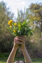 Child showing springtime, wild, local flowers with strength for nature Royalty Free Stock Photo