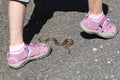 Child siting close of poison snake