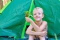 The child sits in a green tourist tent in forest and holding strawberries