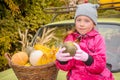 A child sits on the hood of a car and holds a small pumpkin in his hands. Little girl sells agricultural crops at the autumn fair Royalty Free Stock Photo