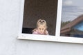 The child sits at low tide in the window in his hands a toy. Look at us. Dangerous situation Royalty Free Stock Photo