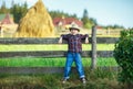 Little boy sits on wooden fence against picturesque haystack Royalty Free Stock Photo