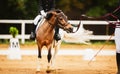 A child is sitting astride a saddle on a piebald pony, which is led by a horse breeder along a sandy arena at equestrian