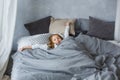 The child sleeps in a gray-colored bed. The girl stretches with her arms spread out in different directions. The Awakening Royalty Free Stock Photo