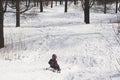 Child slipping on a toboggan from a hill in the winter forest. Royalty Free Stock Photo