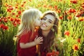 Child small boy at mother or sister kissed in poppy field. Royalty Free Stock Photo