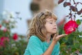 Child smelling flower. Kids funny face. Cute kid enjoy natural environment through outdoor activity like play, touch and