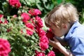 Child smelling rose