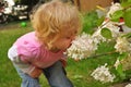 Child smelling a white flower