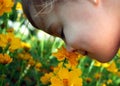 Child Smelling a Yellow Flower Royalty Free Stock Photo
