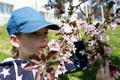 Child sniffs apple tree flowers